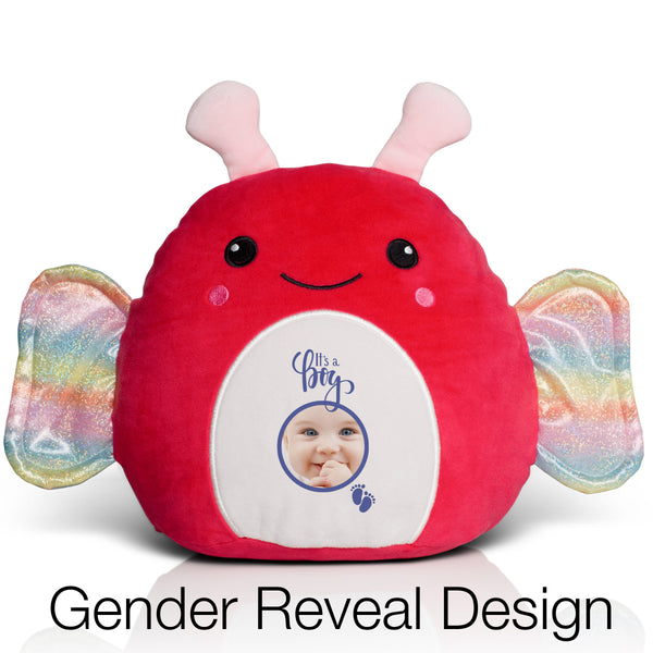 Boys Gender Reveal | Teddies & Squidgy's
