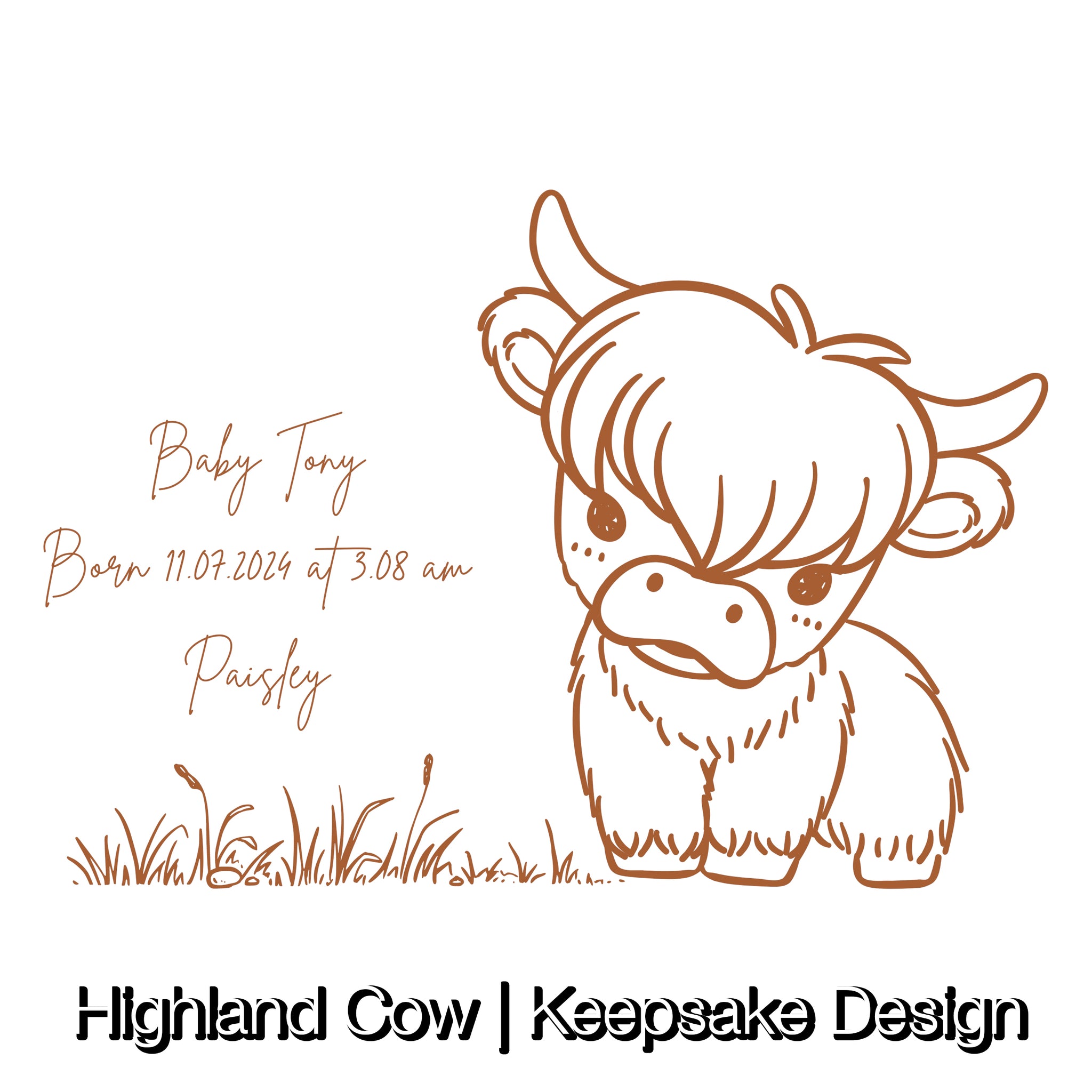 Highland Cow | Baby Grow / T-Shirt | Customizable Keepsake