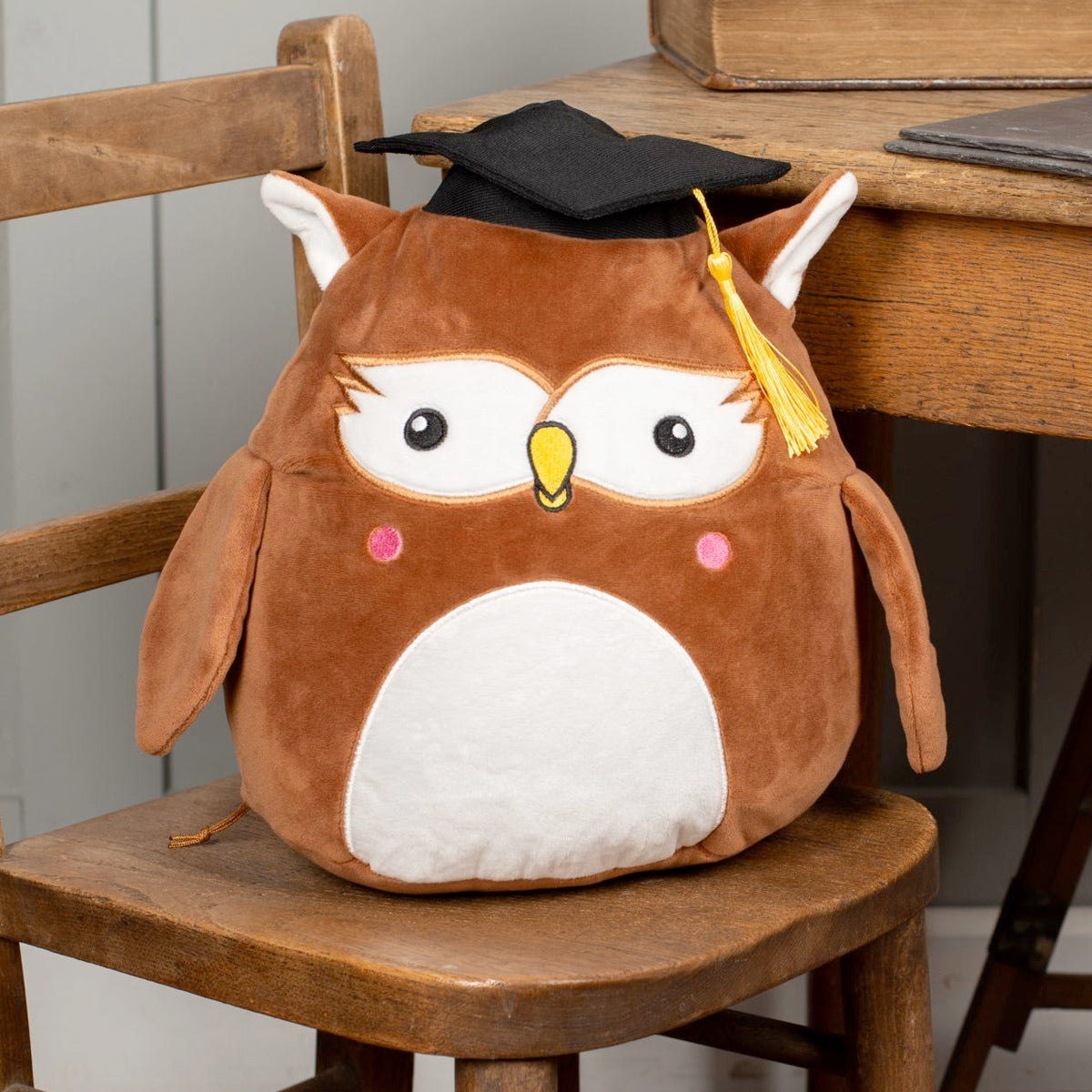 Owl Squidgy | Add Your Own Photos & Text